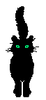 gato