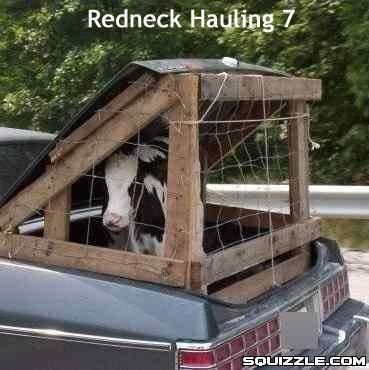 redneckhauler.jpg