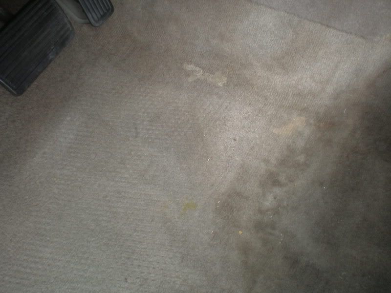 Picture004.jpg