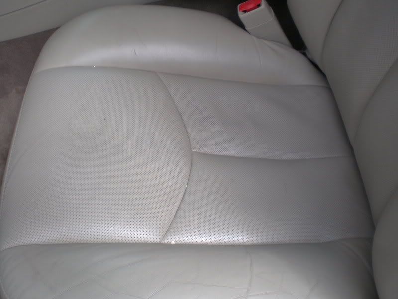 Picture005.jpg