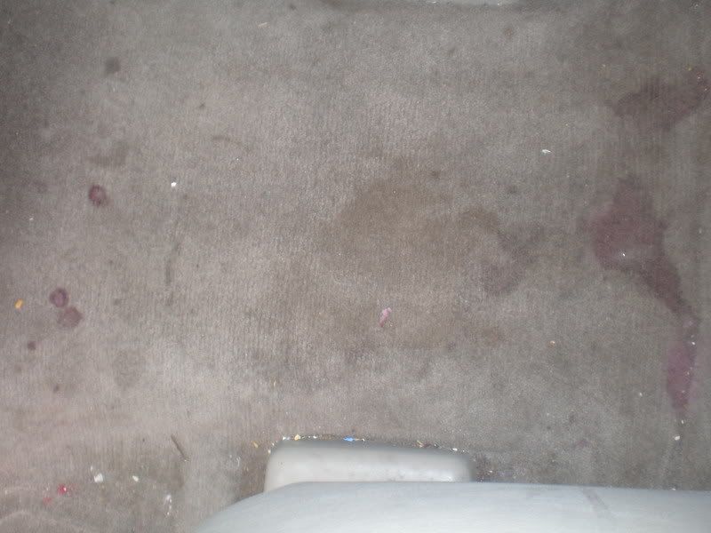 Picture007.jpg