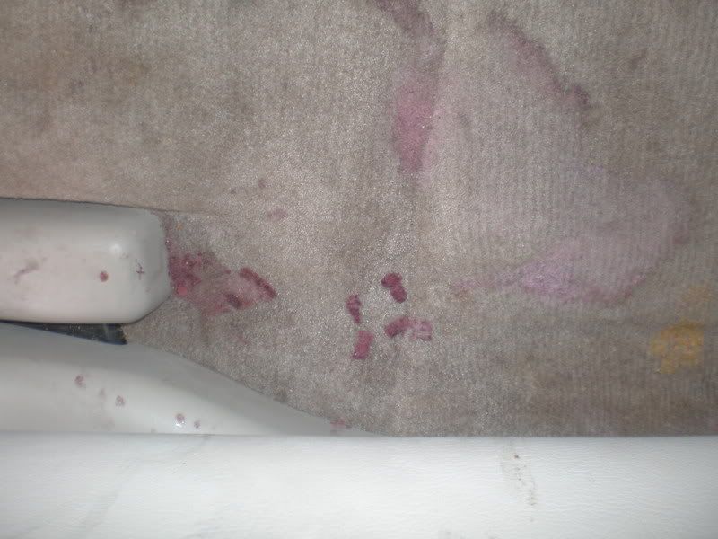 Picture009.jpg