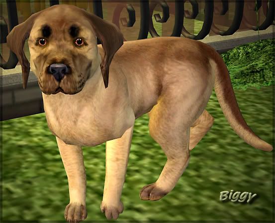 biggy.jpg