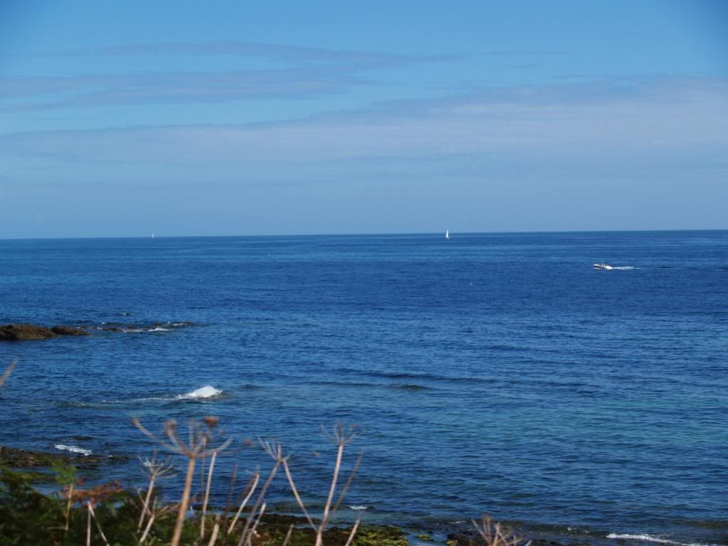 killigeran035.jpg