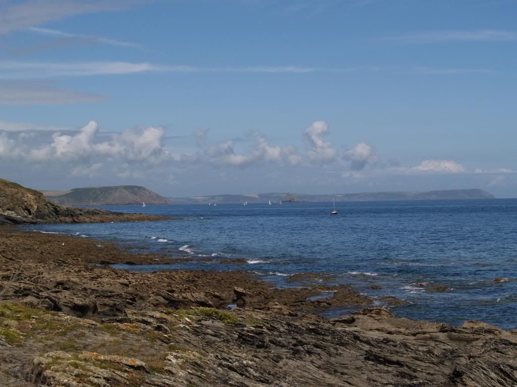 killigeran078.jpg