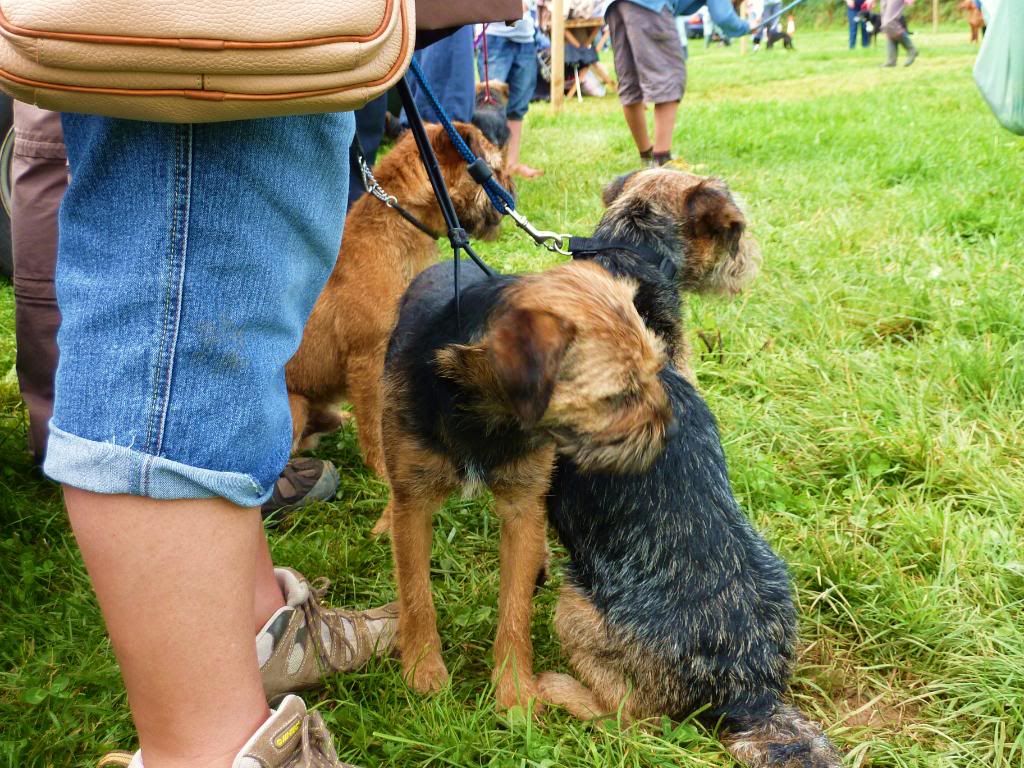 CornwoodShow2011024.jpg