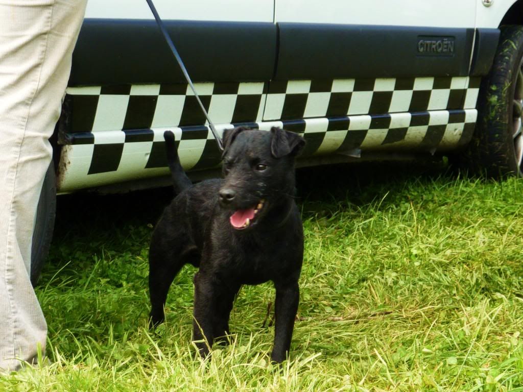 CornwoodShow2011035.jpg
