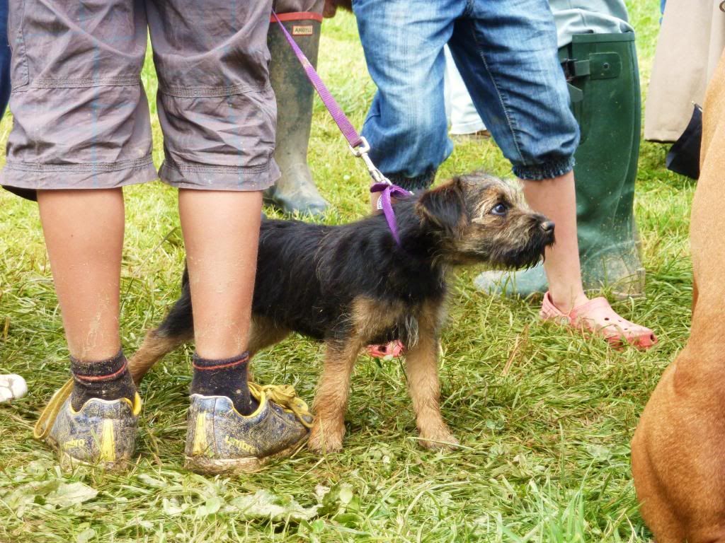 CornwoodShow2011050.jpg