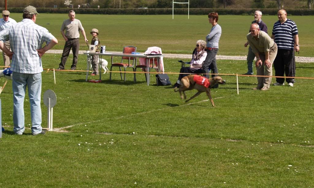 Fordingbridge2010011.jpg