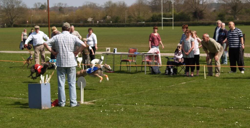 Fordingbridge2010018.jpg