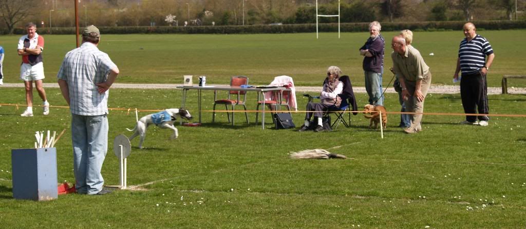 Fordingbridge2010025.jpg