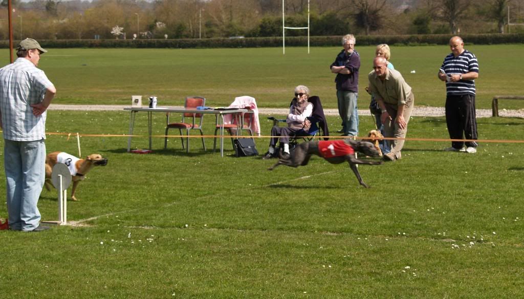 Fordingbridge2010026.jpg