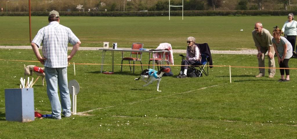 Fordingbridge2010032.jpg