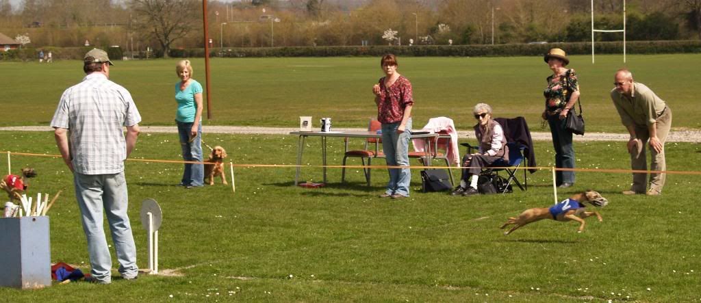 Fordingbridge2010038.jpg
