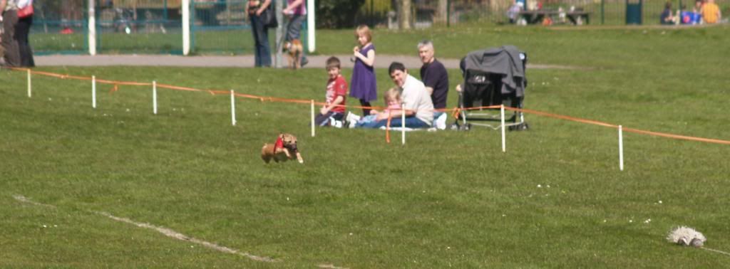 Fordingbridge2010041.jpg