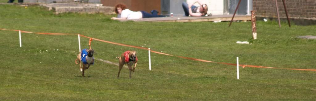 Fordingbridge2010049.jpg
