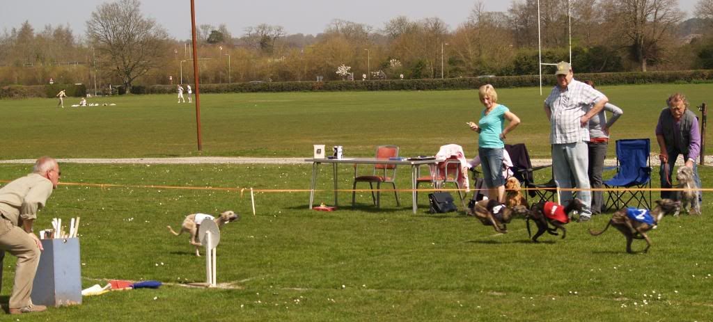 Fordingbridge2010069.jpg
