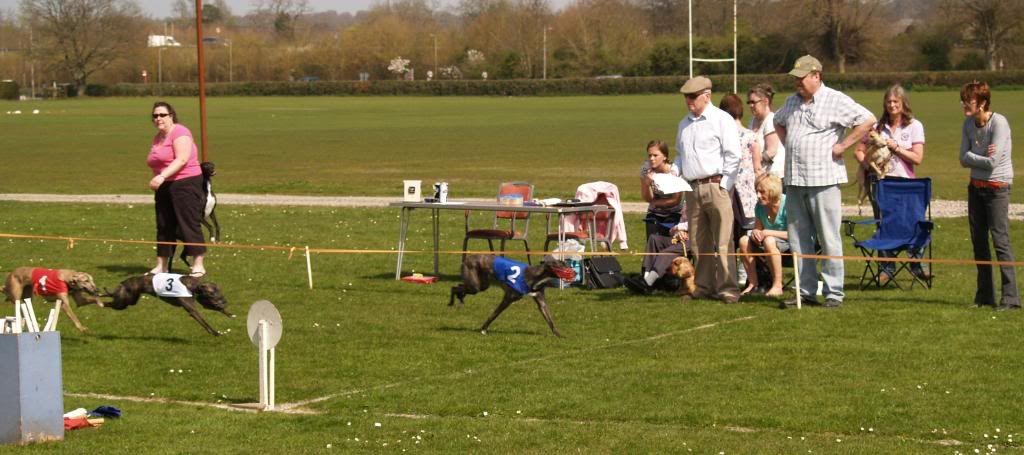 Fordingbridge2010085.jpg
