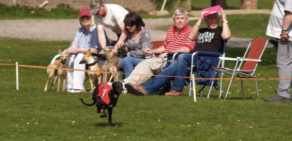 Fordingbridge2010088.jpg