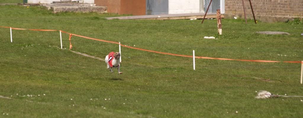 Fordingbridge2010091.jpg