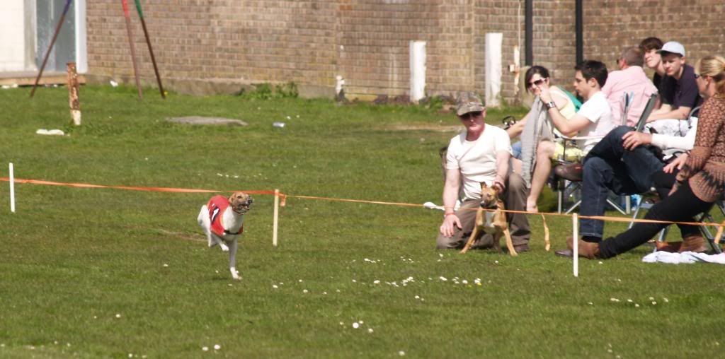 Fordingbridge2010092.jpg