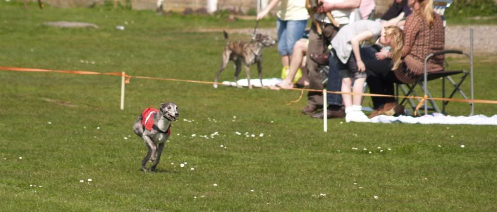 Fordingbridge2010096.jpg