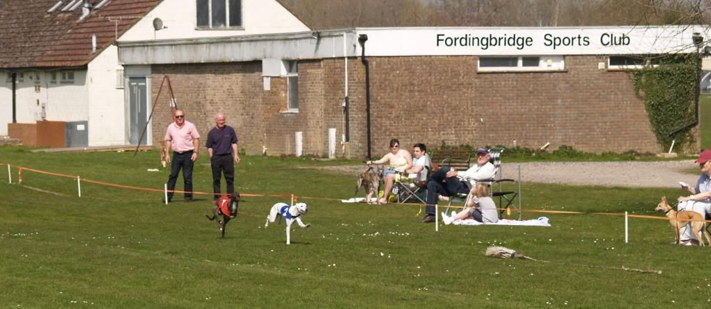 Fordingbridge2010102.jpg