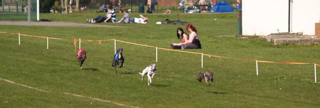 Fordingbridge2010114.jpg