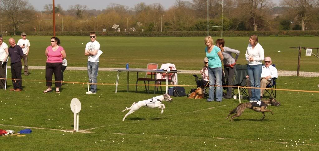 Fordingbridge2010115.jpg