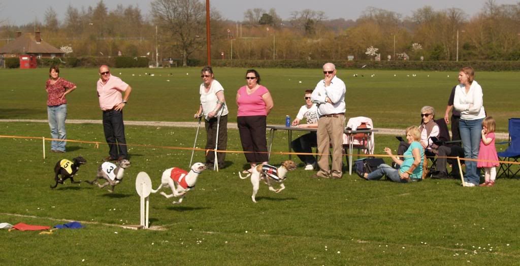 Fordingbridge2010120.jpg