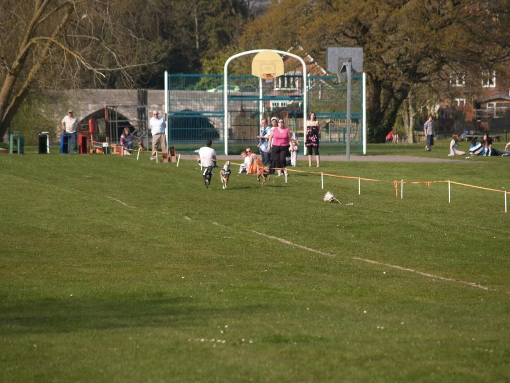 Fordingbridge2010128.jpg
