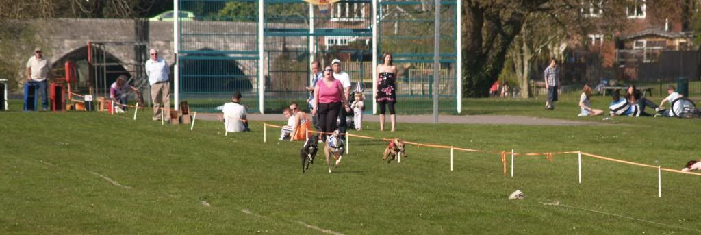 Fordingbridge2010129.jpg