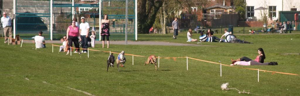 Fordingbridge2010130.jpg