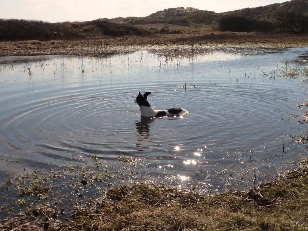 Perranporthbeach2010031.jpg