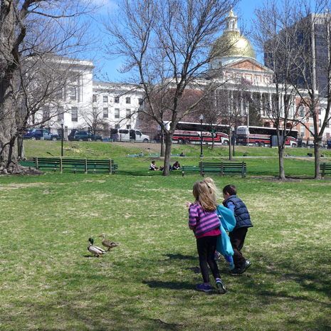  photo 2015-04-24_2_boston_common_004_zpsbkingky3.jpg