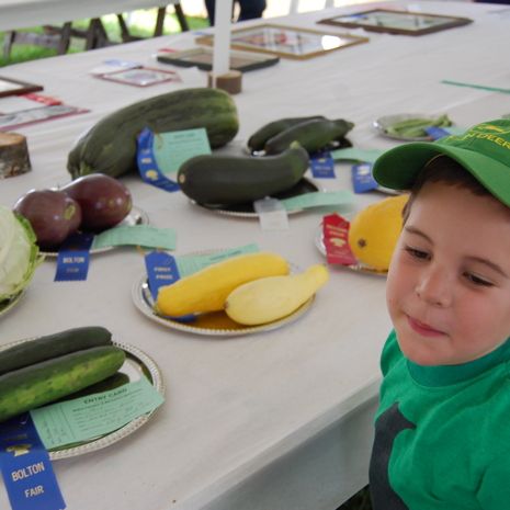  photo 2014-08-08_bolton_fair_047_zps840fb531.jpg