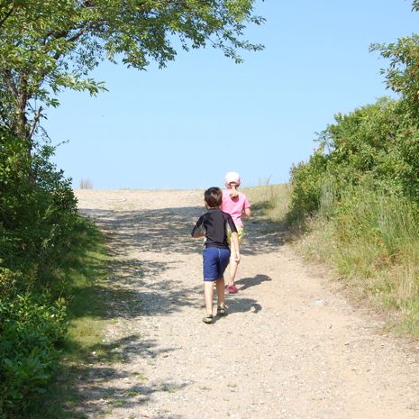  photo 2014-08-11_1_plum_island_walk_001_zpsb6122747.jpg