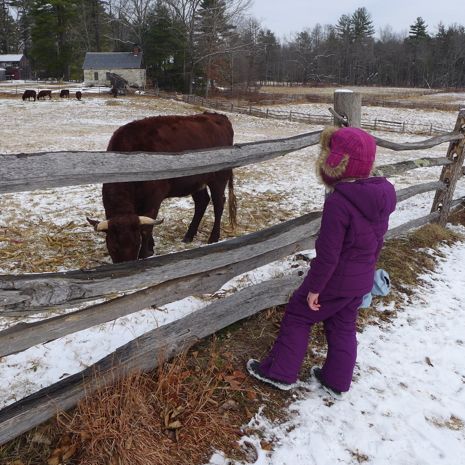  photo 2013-12-27_sturbridge_village_034_zps741b9850.jpg