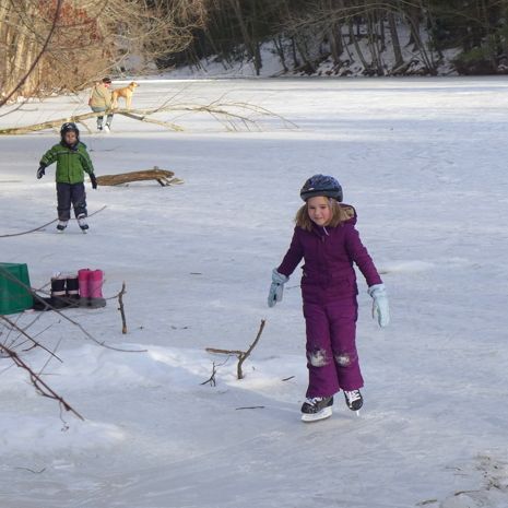  photo 2014-01-01_1_ice_skating_007_zps16904dad.jpg