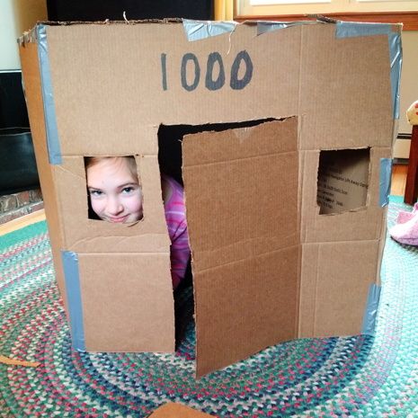  photo 2016-01-30_jane_cardboard_house_001_zpszhpmxwuw.jpg