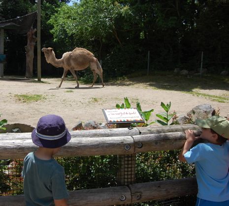  photo 2014-06-26_1_roger_williams_zoo_012_zpsa1438923.jpg