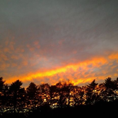  photo 2013-11-01_sunset_pine_bluff_003_zpsbed77683.jpg