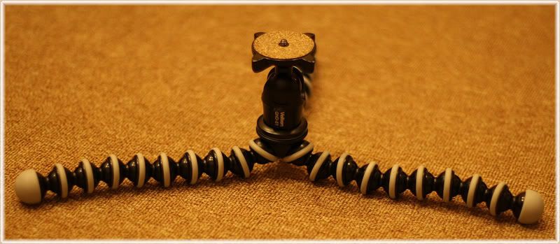 IMAGE: http://i115.photobucket.com/albums/n306/luant16/IMG_4144.jpg