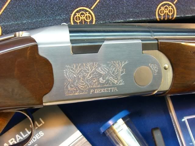 Beretta Whitewing