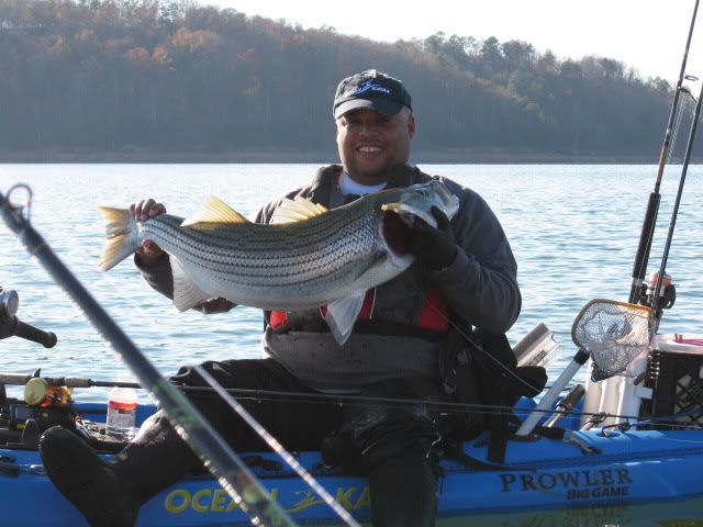 Photo of grennell fish