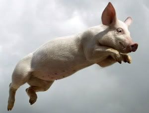 pigsfly.jpg