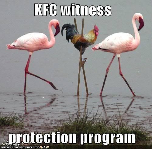 funny-pictures-kfc-chicken-stilts-f.jpg