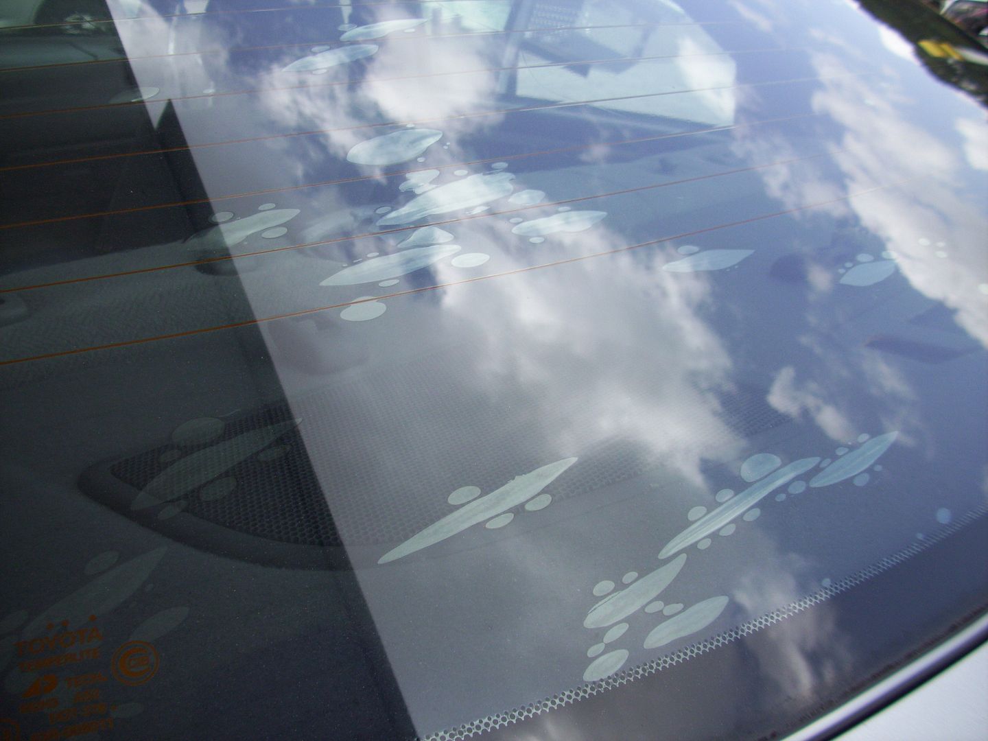 tint,tearoffguy,cars,toyota,honda,nissan,window film,window tint