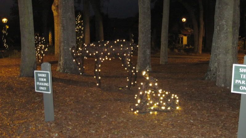 November weather hilton head sc