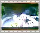Video025.mp4 video by 1PSPuser